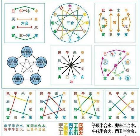 三合六合八字|八字基础五：十二地支的六合、三合、三会（粗体字必。